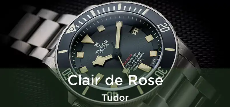  Clair de Rose Tudor