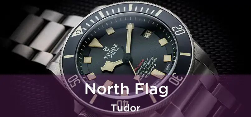  North Flag Tudor