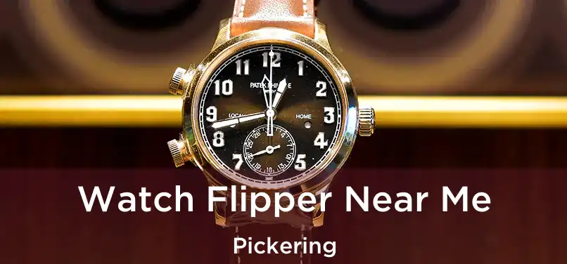  Watch Flipper Near Me Pickering